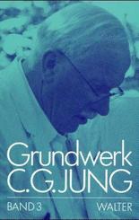 Grundwerk C. G. Jung, 9 Bde.: Persönlichkeit und Übertragung; Bd.3