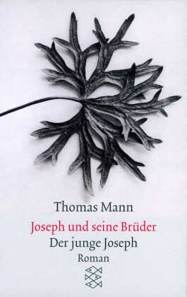 Joseph und seine Brüder - Tl.2