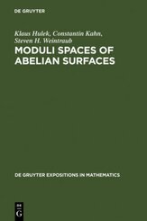 Moduli Spaces of Abelian Surfaces: Compactification, Degenerations, and Theta Functions