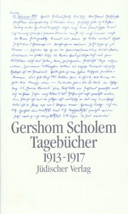 Tagebücher: 1913-1917