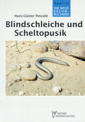 Blindschleiche und Scheltopusik