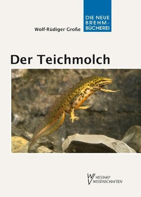 Der Teichmolch