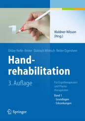 Handrehabilitation: Grundlagen, Erkrankungen