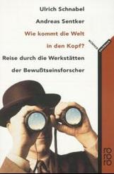 Wie kommt die Welt in den Kopf?