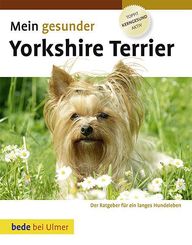 Mein gesunder Yorkshire Terrier