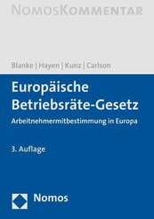 Europäisches Betriebsräte-Gesetz (EBRG), Kommentar