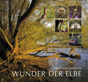 Wunder der Elbe