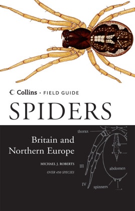 Spiders of Britain and Northern Europe