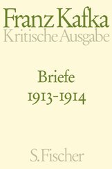 Kritische Ausgabe: Briefe 1913-1914