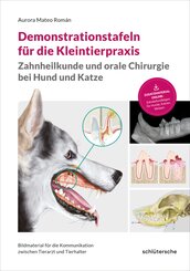 Demonstrationstafeln f&uuml;r die Kleintierpraxis, Zahnheilkunde und orale Chirurgie bei Hund und Katze