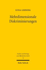 Mehrdimensionale Diskriminierungen