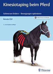 Kinesiotaping beim Pferd