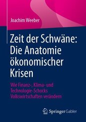Zeit der Schw&auml;ne: Die Anatomie &ouml;konomischer Krisen