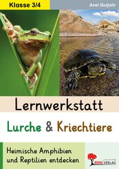 Lernwerkstatt Lurche und Kriechtiere