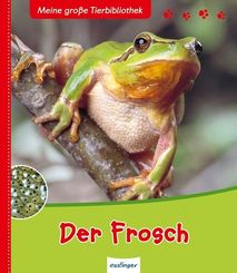 Der Frosch