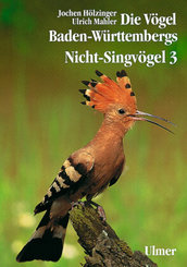 Die Vögel Baden-Württembergs. (Avifauna Baden-Württembergs) / Die Vögel Baden-Württembergs Band 2.3 - Nicht-Singvögel 3 - Tl.3