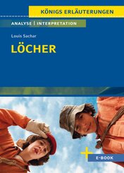 L&ouml;cher von Louis Sachar - Textanalyse und Interpretation
