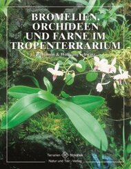 Bromelien, Orchideen und Farne im Tropenterrarium