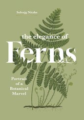 The Elegance of Ferns