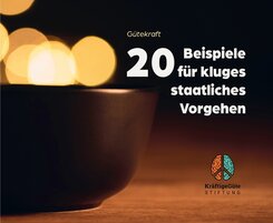 20 Beispiele f&uuml;r kluges staatliches Vorgehen