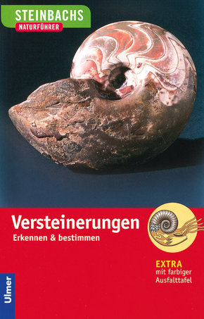 Versteinerungen