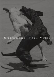 J&ouml;rg Br&uuml;ggemann | Tres Viajes