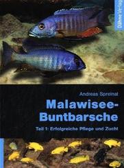 Malawisee-Buntbarsche. Tl.1 - Tl.1