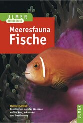 Meeresfauna Rotes Meer, Indischer Ozean (Malediven)