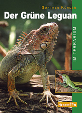 Der Grüne Leguan im Terrarium