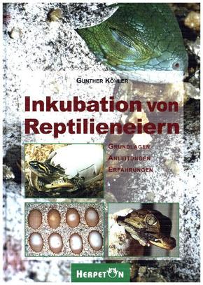 Inkubation von Reptilieneiern