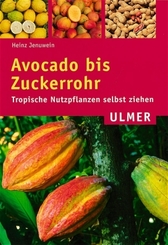 Avocado bis Zuckerrohr