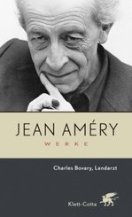 Werke. Bd. 4: Charles Bovary, Landarzt  / Aufsätze zu Flaubert und Sartre (Werke, Bd. 4)