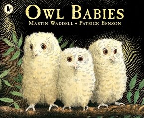 Owl Babies