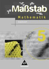 Maßstab - Mathematik für Hauptschulen in Niedersachsen - Ausgabe 2005