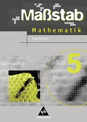 Maßstab - Mathematik für Hauptschulen in Nordrhein-Westfalen und Bremen - Ausgabe 2005