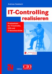IT-Controlling realisieren