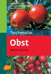 Obst