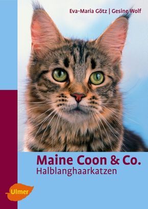 Maine Coon & Co.
