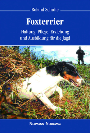 Foxterrier