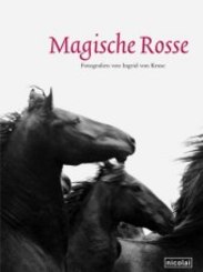 Magische Rosse