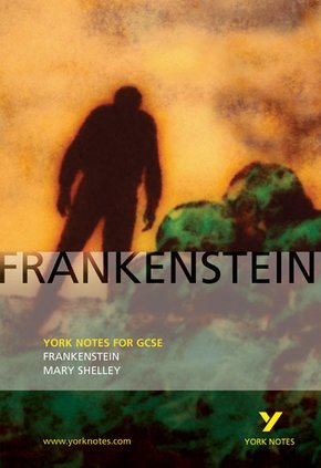 Mary Shelley 'Frankenstein'