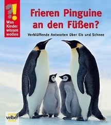 Frieren Pinguine an den Füßen?