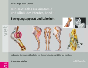 Bild-Text-Atlas zur Anatomie und Klinik des Pferdes - Bd.1