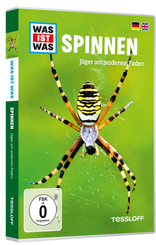 Spinnen - Jäger am seidenen Faden, 1 DVD - Was ist was