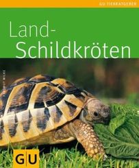 Landschildkröten