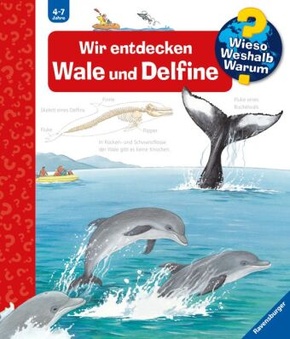 Wir entdecken Wale und Delfine - Wieso? Weshalb? Warum? Bd.41
