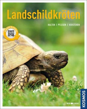 Landschildkröten