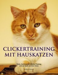 Clickertraining mit Hauskatzen
