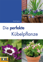 Die perfekte Kübelpflanze