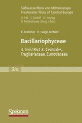 Bacillariophyceae - Tl.3